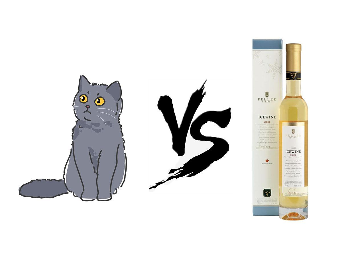 鍚哥尗璁╀汉涓嶈兘鑷嫈,鍚哥尗涓婄樉鐨勯摬灞庡畼