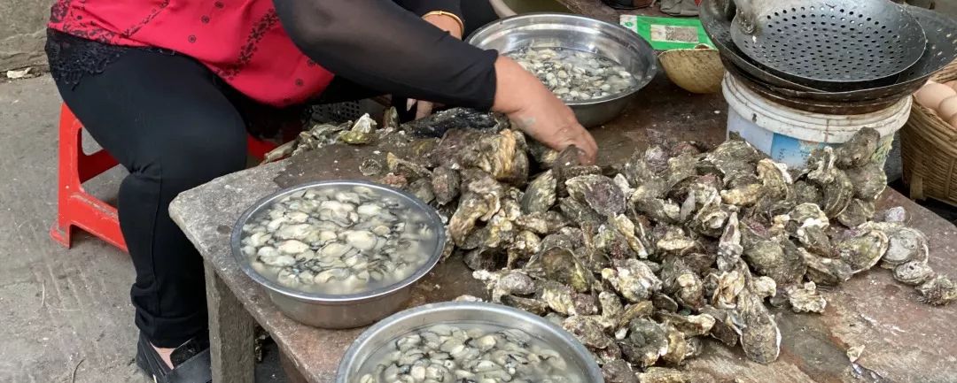 你好，我是闽南网红美食，我叫“OLD”