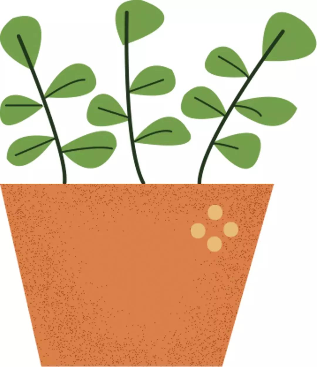 丰台四大花市在哪里,北京丰台值得逛一逛