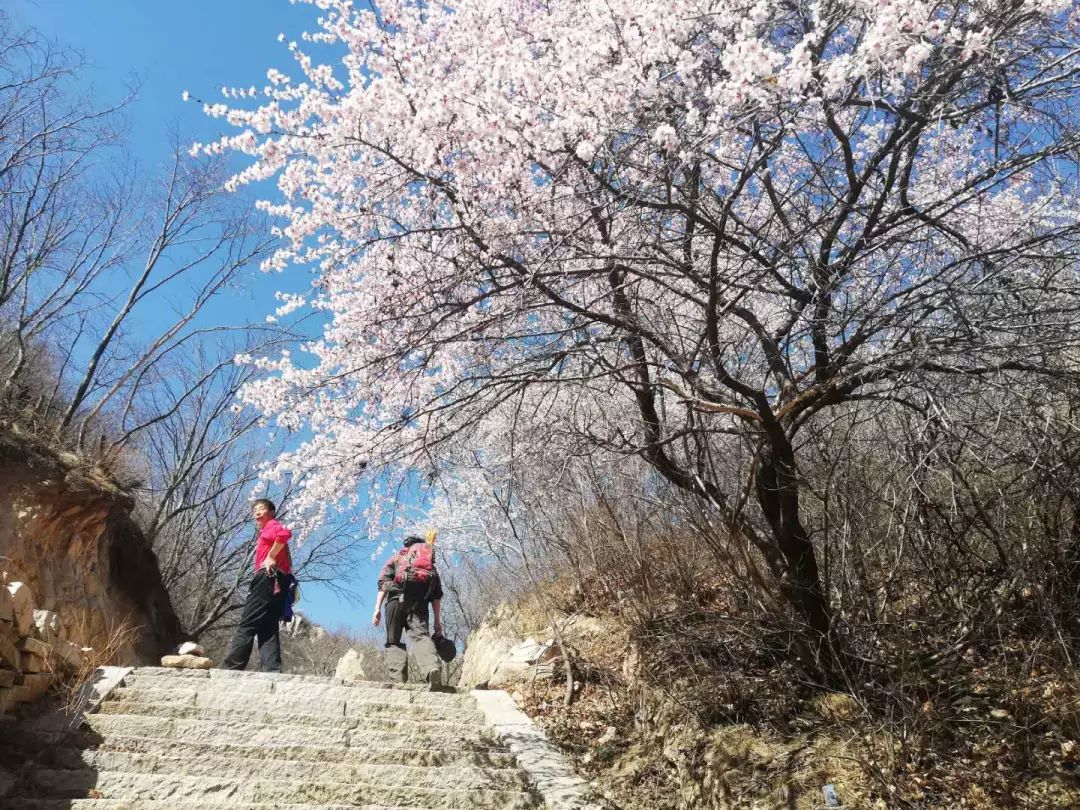 到了京郊这些花开四溢的“仙境”，您简直可以把日子过成诗！