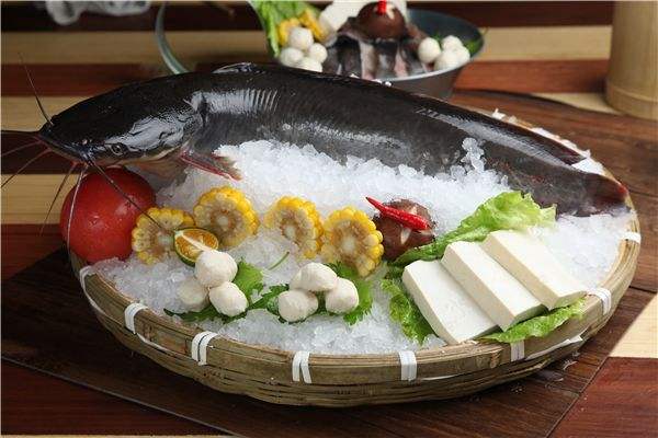 三大公认最脏的鱼鲶鱼,鲶鱼这么脏为什么还能吃