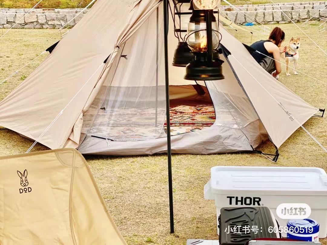 动辄“花十万块”，谁在挣露营的钱？