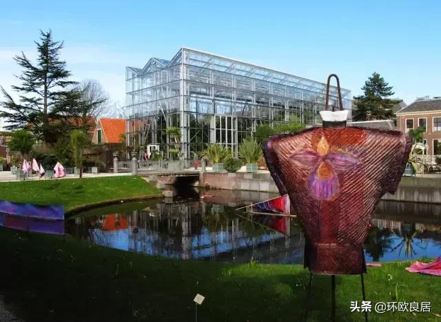 错过郁金香的阿姆斯特丹,荷兰赏花景点推荐