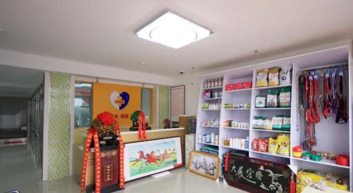 得了猫瘟打一针后特别特别爱吃饭,猫瘟和猫传腹一起能治好吗