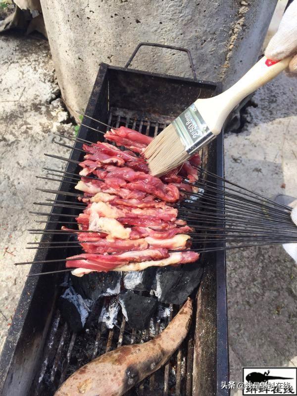 户外烧烤的肉怎么腌制最好吃,户外烧烤肉串怎么腌制