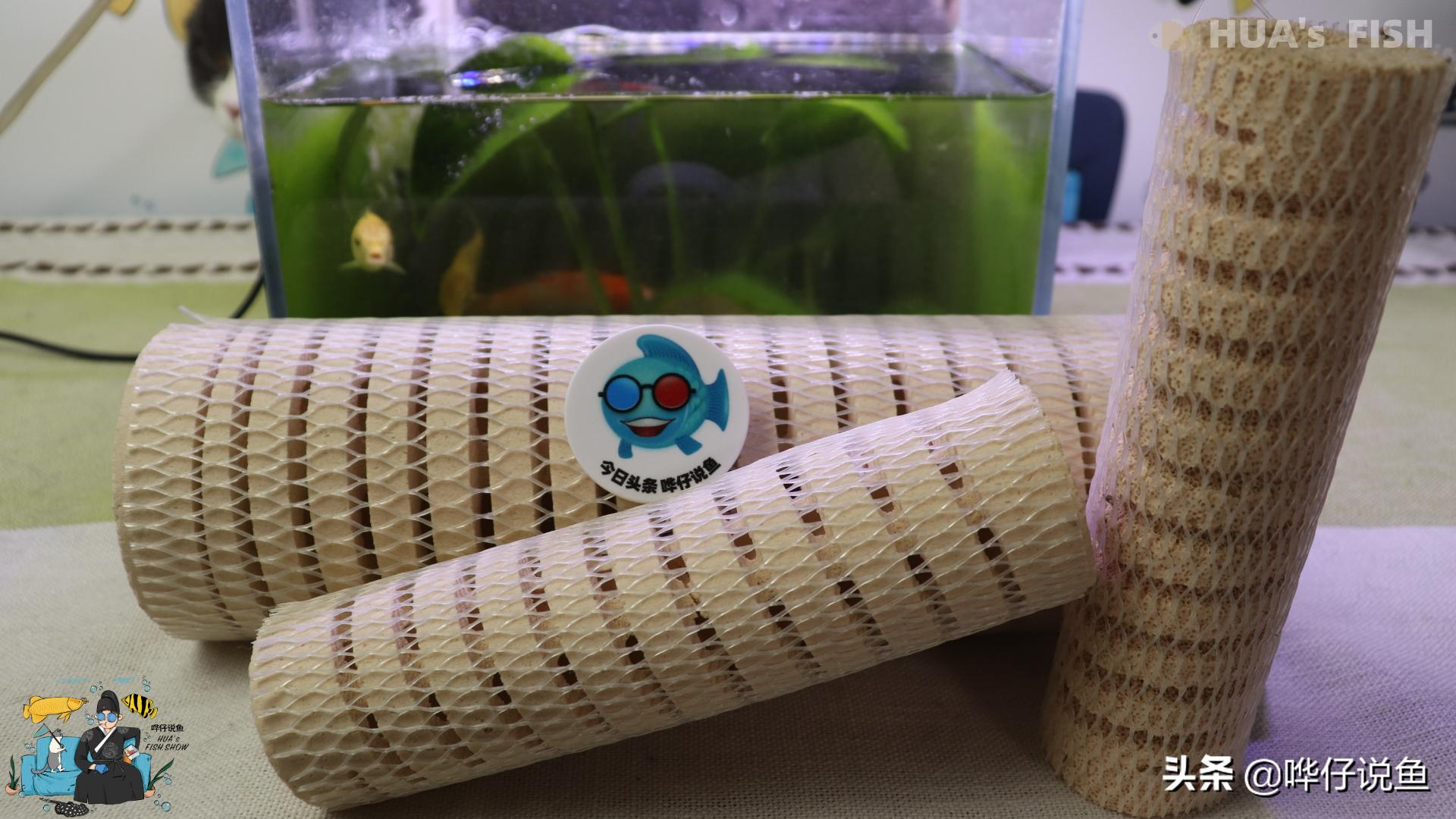 从万人追捧到受人唾弃高晓松,从被人嫌弃到万人瞩目后心态