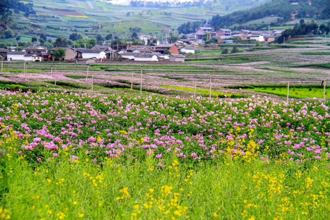9个国内绝美小众旅行景点,国内必去的5个小众旅游景点