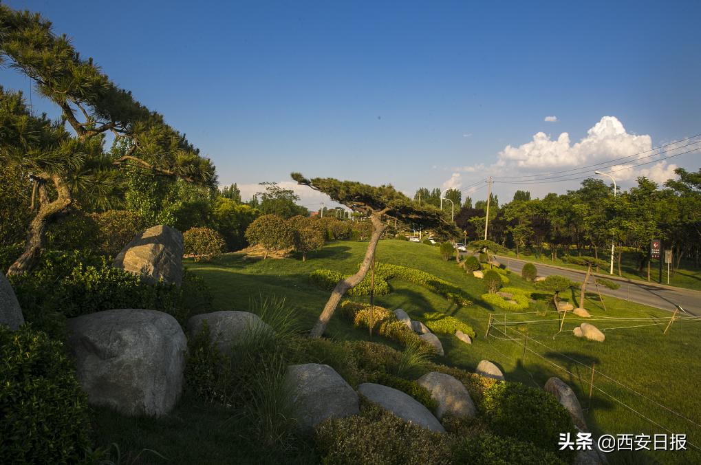 西安公园开放通知最新,西安附近公园免费景点