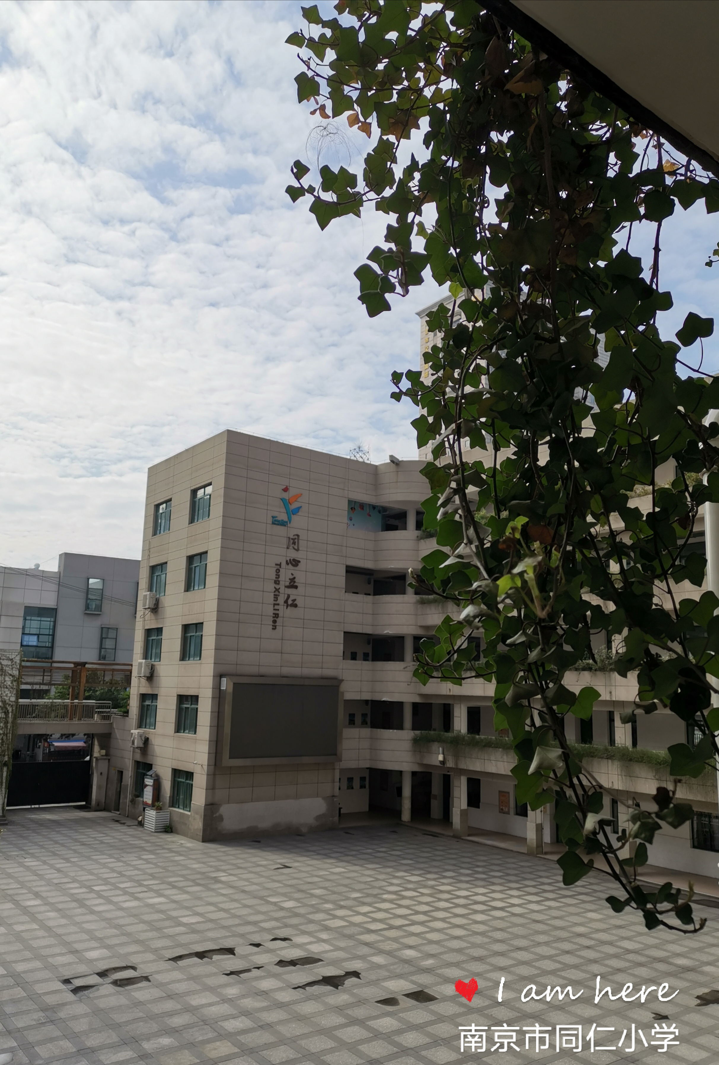 同心立仁:让每个孩子更健康更快乐更优秀