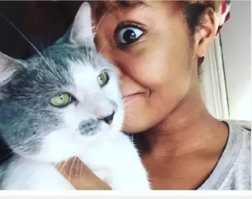 养猫党的十件事,新手养猫必须做的十件事