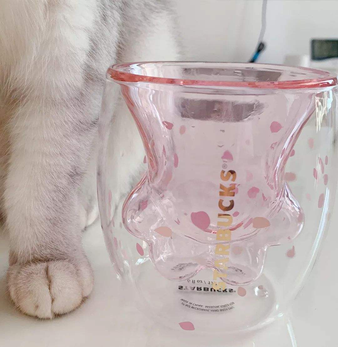 我们也曾有过“为猫爪杯”熬夜排队的青春