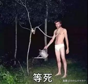 电商法新修订代购,国家电商代购新政策出台