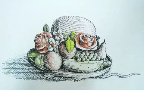 绘本推荐|《动物绝对不应该穿衣服》超级搞笑又有创意的绘本