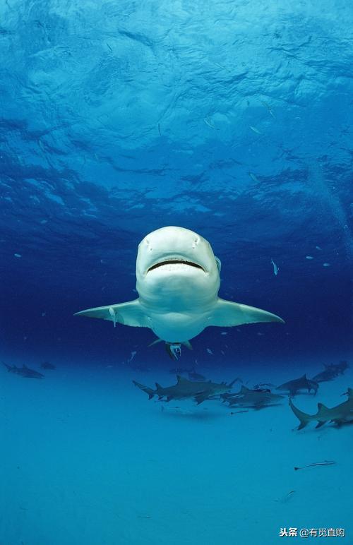 珠海哪个海岛风景最美,泰国十大最美海岛排名