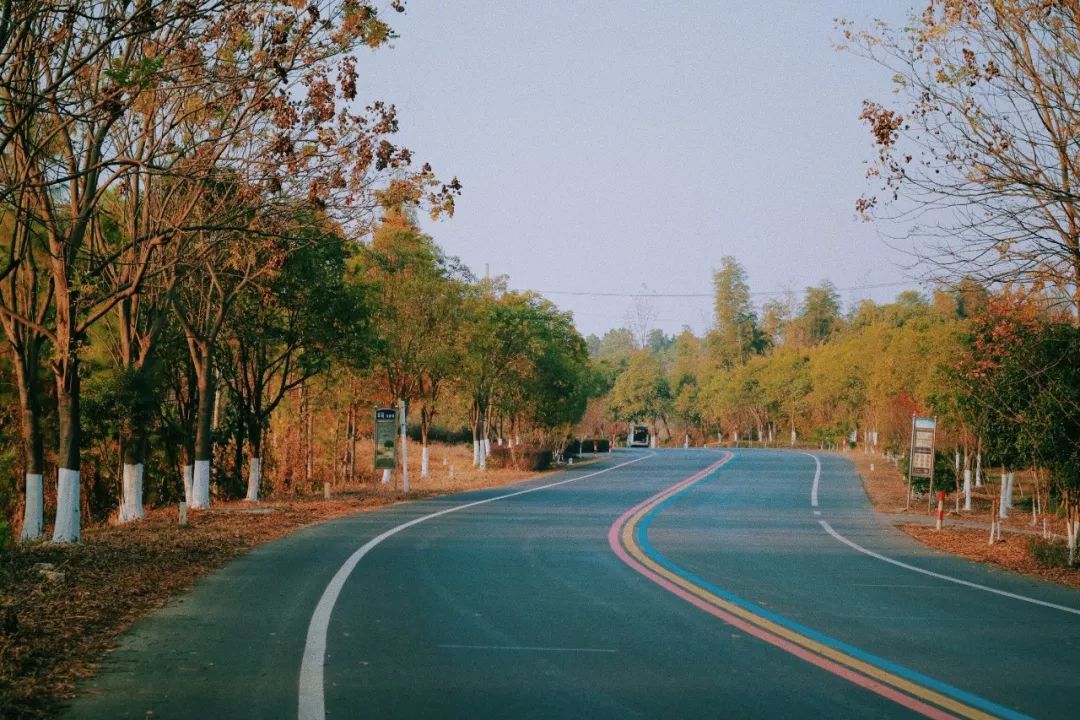 推荐冬天买的毛衣,秋冬平价毛衣推荐