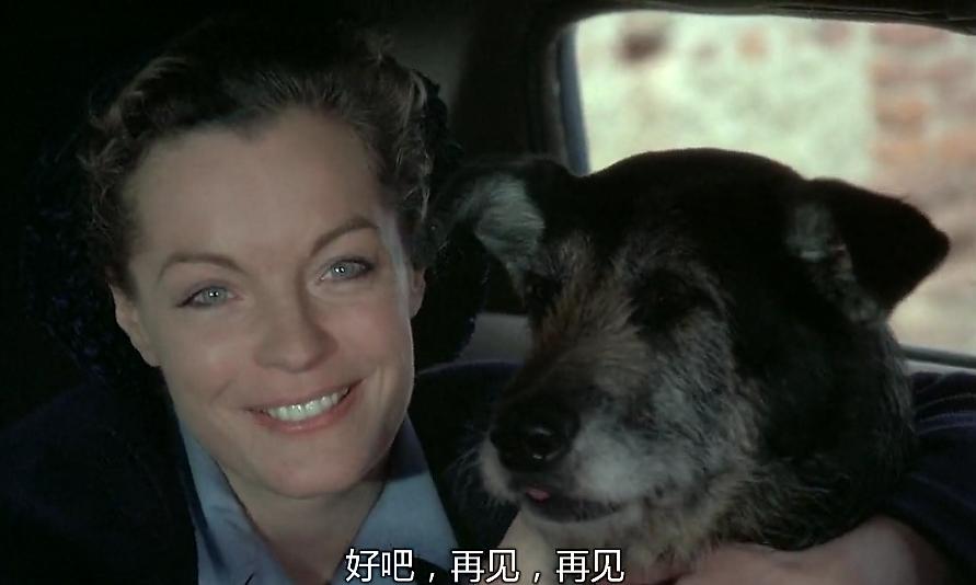 一个男人的复仇过程,一个男人复仇