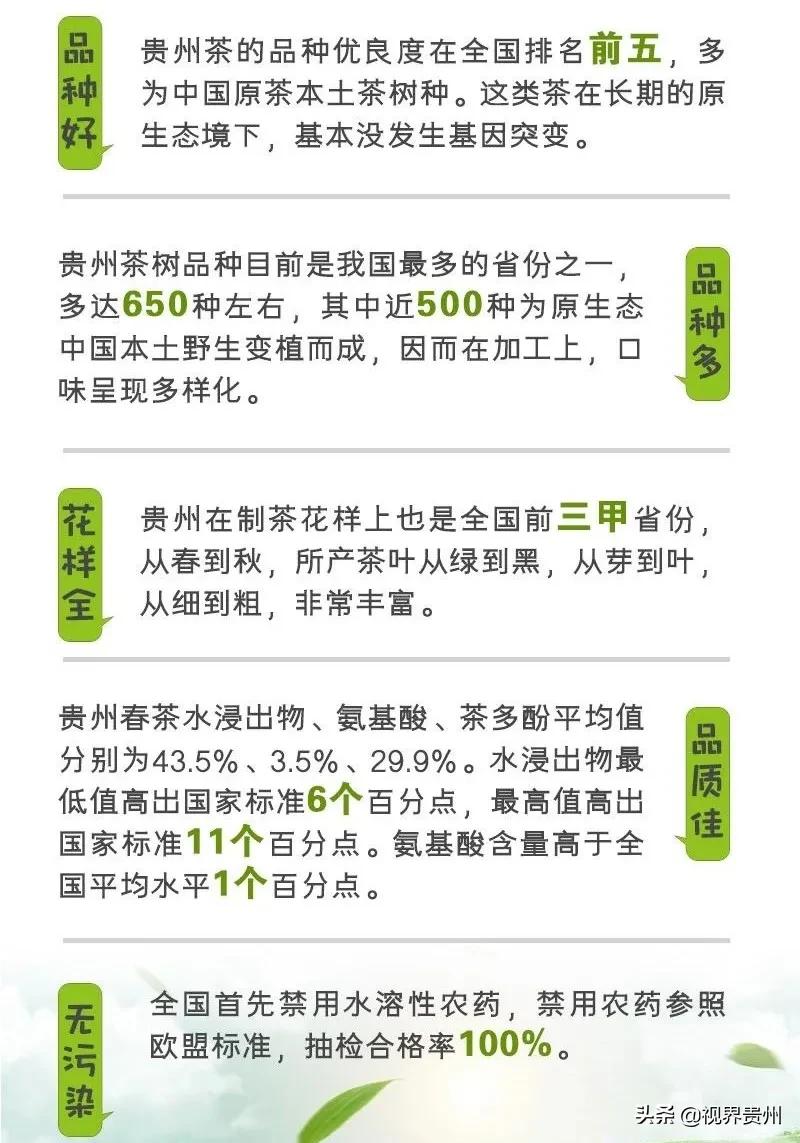 贵州茶海的春天有多美,贵州最美茶海