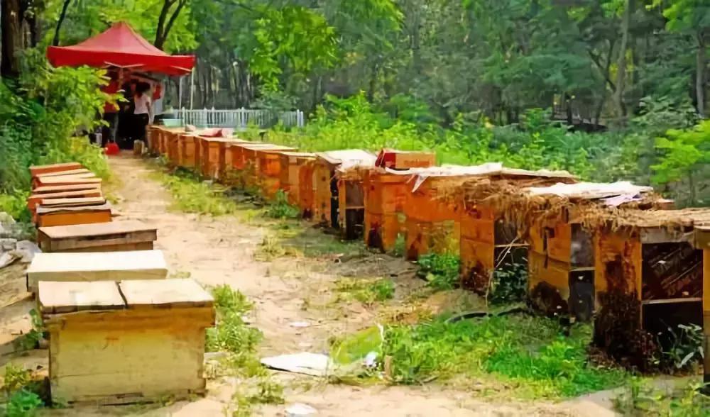 台湾垦丁旅行,中国台湾垦丁风光