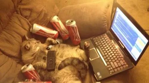 吐槽深圳人情世故,深圳有什么奇葩的现象