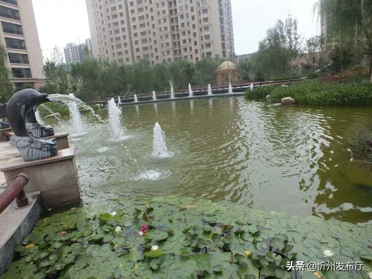 忻州国力花园二期在哪个位置,忻州国力花园五期和国力新城二期