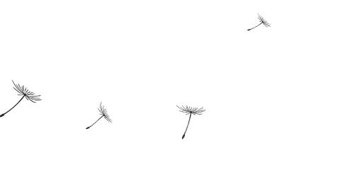 环保高强度胶水粘合剂,粘接剂和胶粘剂是一种材料吗