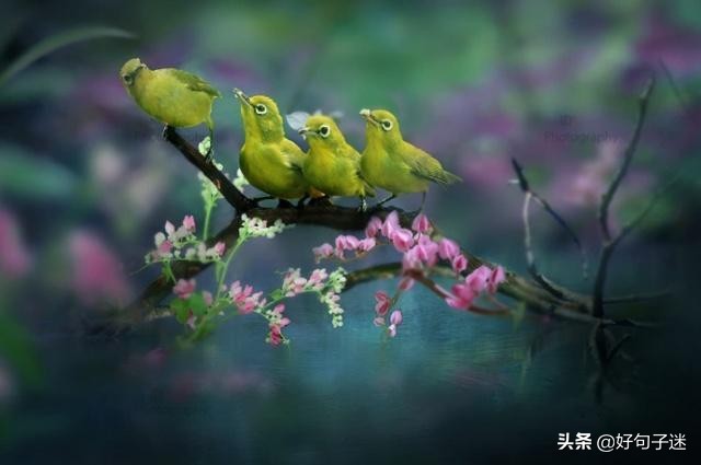 人生感悟英文短句子,句句入骨,看完你会明白很多!