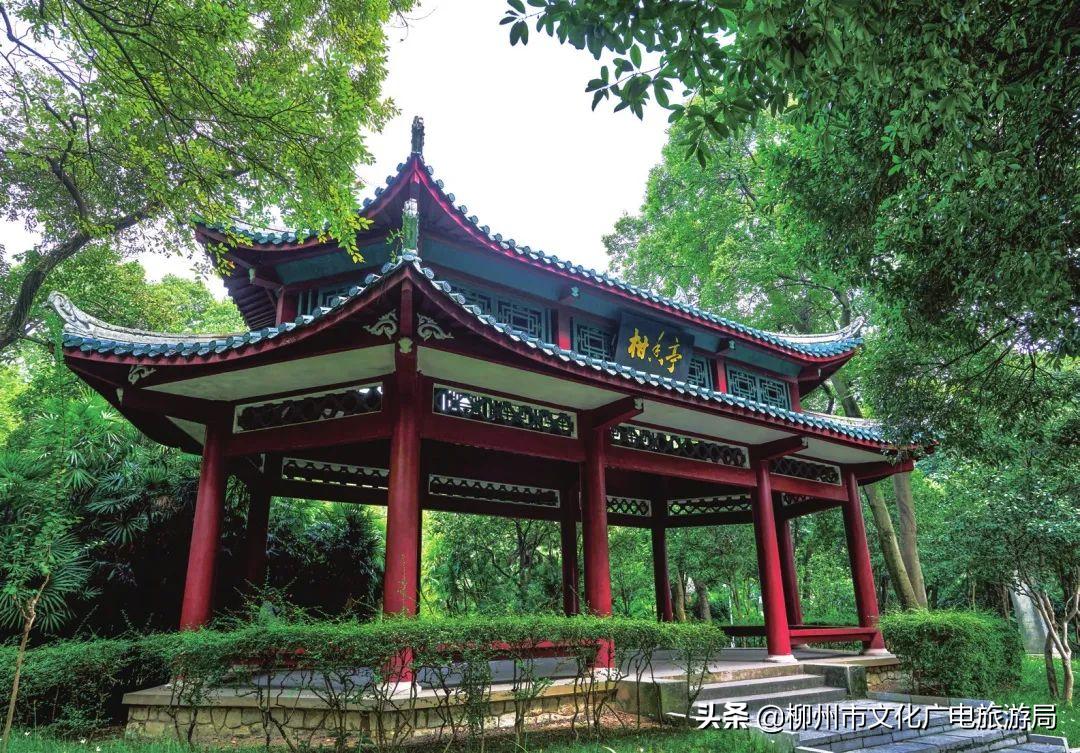 地以人传人以地柳子德厚泽千秋