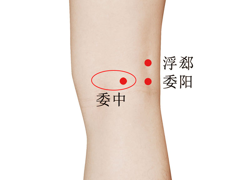 排湿排毒最简单有效的办法,排湿最快的食疗方法