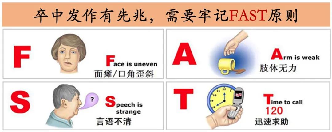 怎样判断脑血管侧支循环是否良好,有勇有谋是优点吗