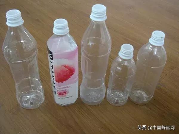 蜜蜂蚂蚁怎么防,蜜蜂如何防治白蚁