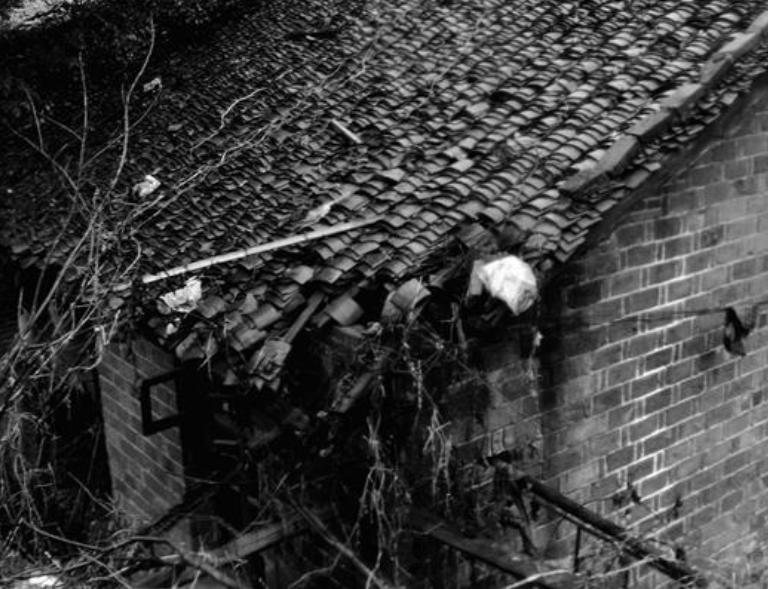 电影活着的悲剧感,表现活着的价值意义题材电影