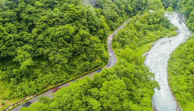 万亩杜鹃花开！邂逅野生水鹿，观云海住树屋，成都自驾3.5h就到！