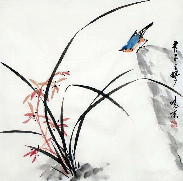 淡彩兰花100幅,顶级淡彩兰花图片