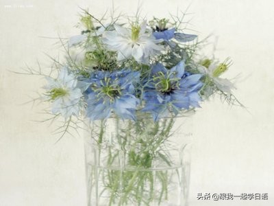 最常用的100个日语句子,100个经典日语会话语录