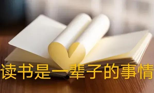 民法典养狗管理是哪条规定,民法典有关于养狗的条款吗