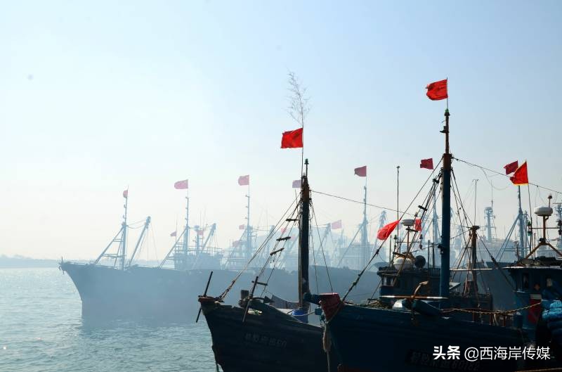 渔港青岛,胶南琅琊海鲜码头最新消息