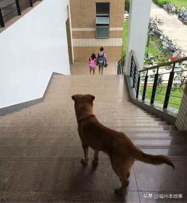 福州大学创造奇迹,福州大学国家一流学府