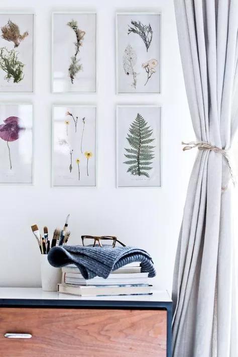 她用这种高颜值的干花装饰家里,隔壁邻居都惊叹不已