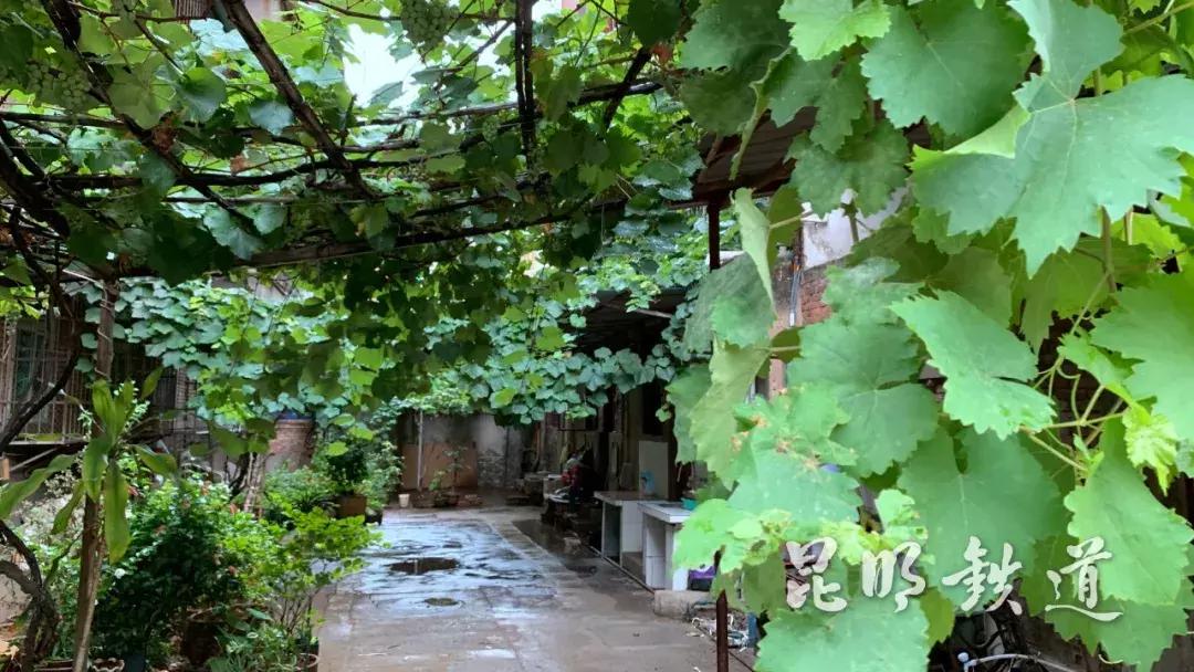 滇越百年米轨铁路小站通往远方,开远滇越铁路米轨历史沿革