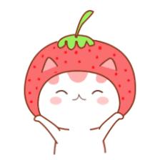 立风计划X人物专访徐唯一