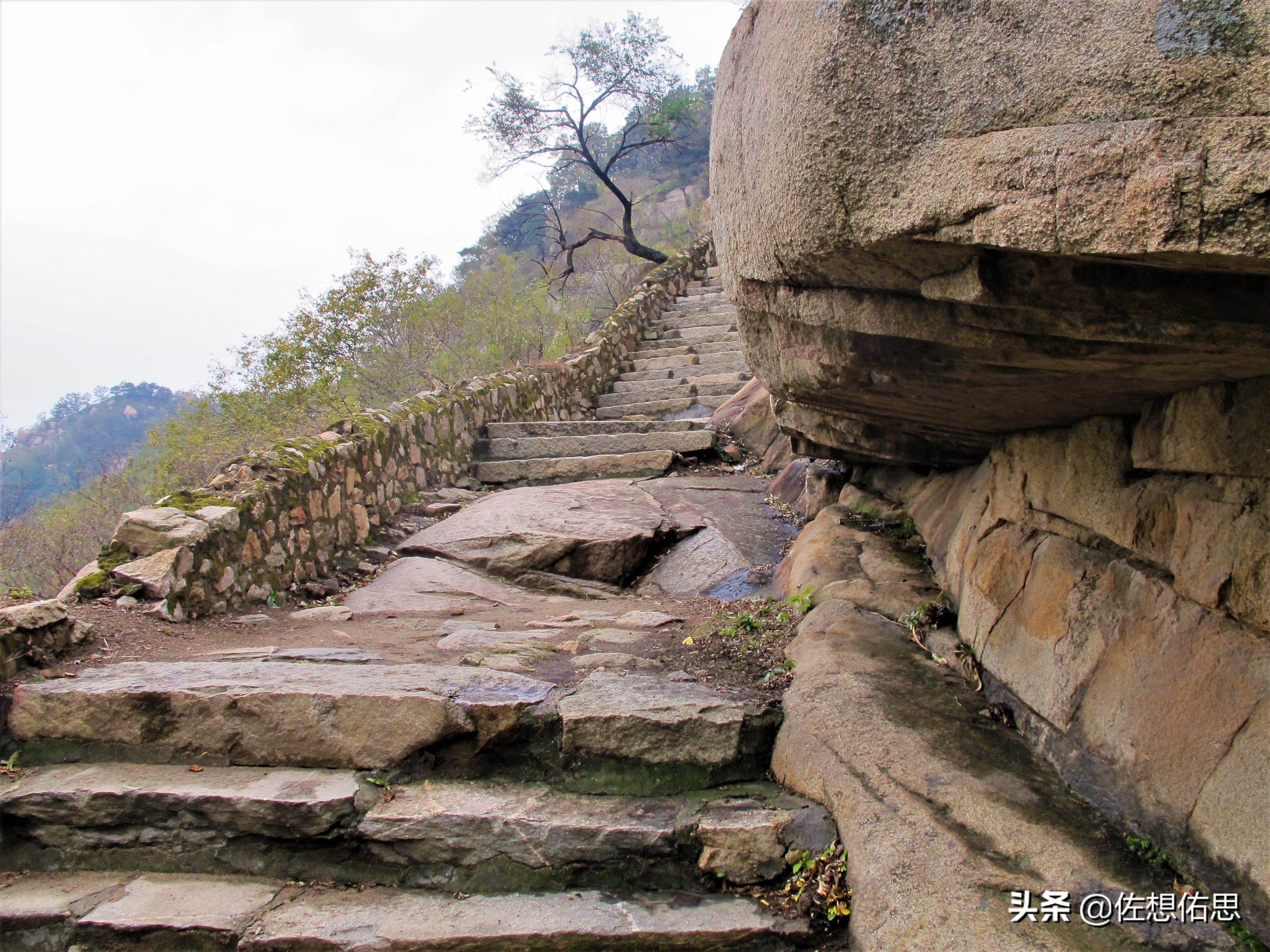 泰安扇子崖免门票吗,扇子崖门票多少钱