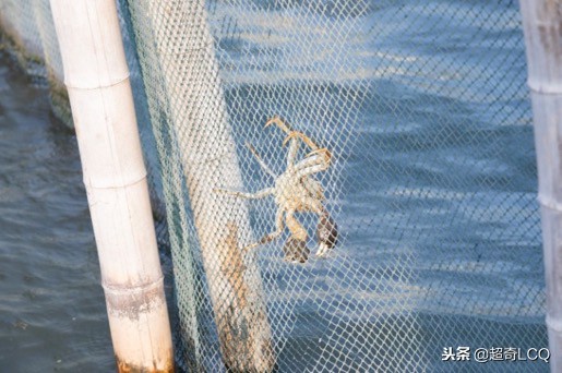 畅游苏州套票,畅游苏州