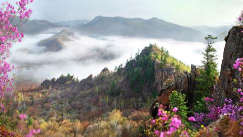 世外桃源仙游,南岔仙翁山山顶