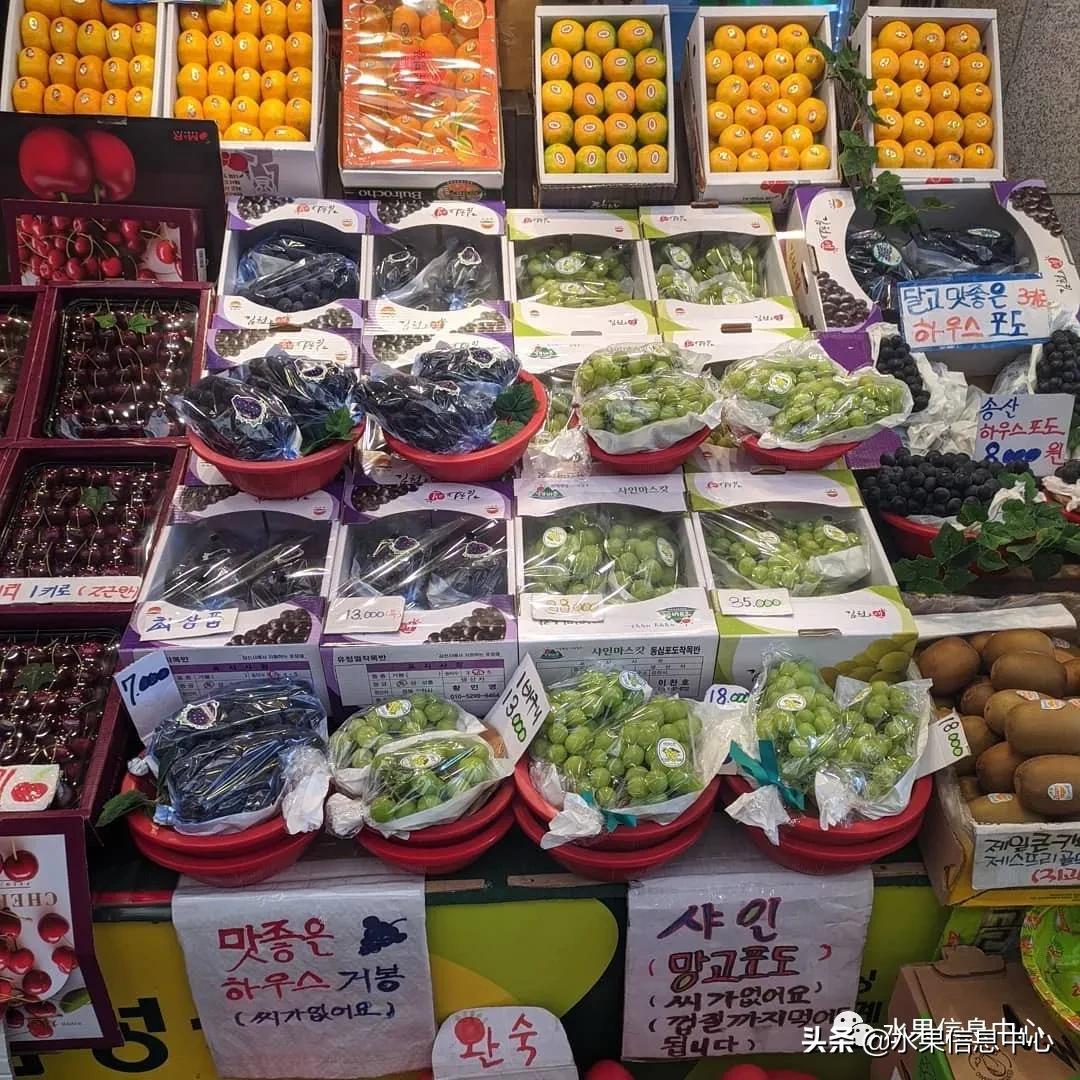 韩国水果批发市场进货渠道,韩国首尔最大的水果批发市场