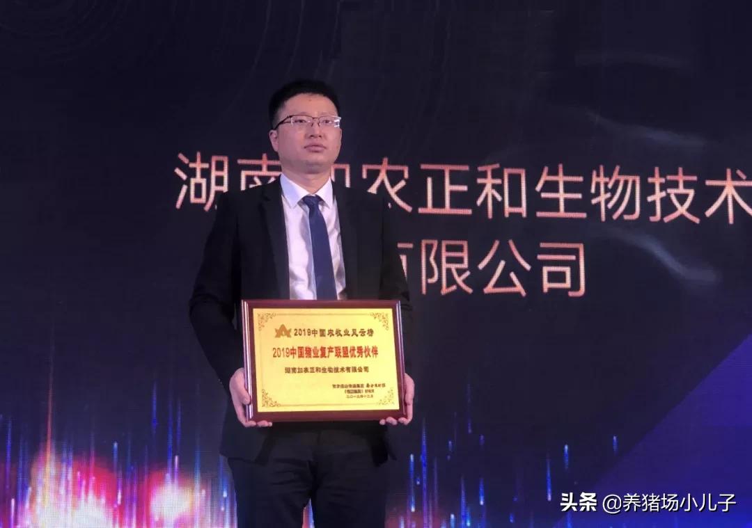 注意这种病毒一旦感染终身携带,最近猪场流行的传染病