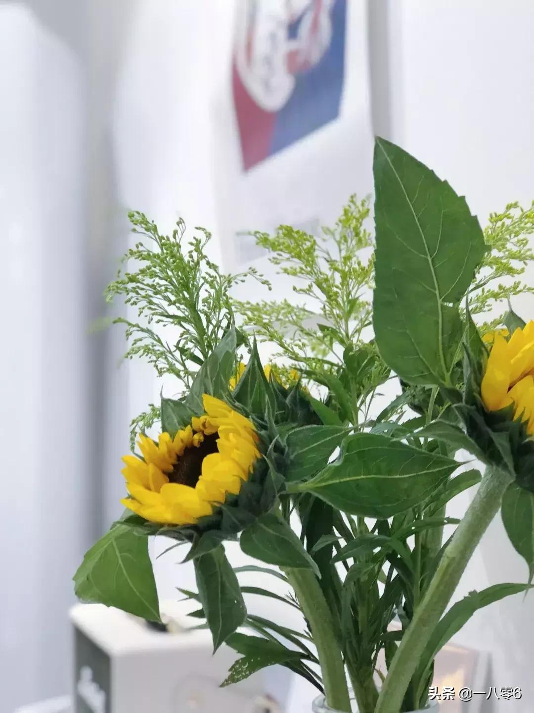 coffeemap,coffeemap鍝佺墝