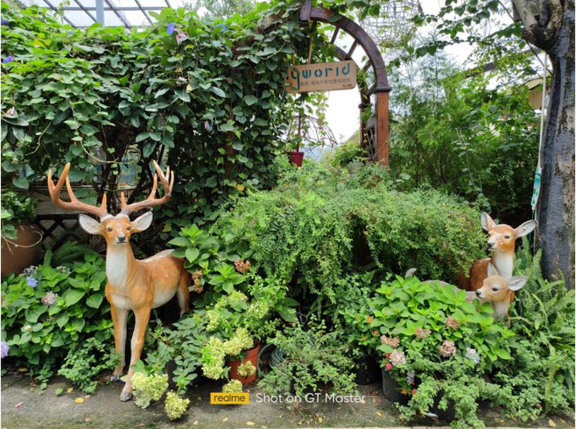 realme真我gt5g骁龙7+评测,骁龙中端神u处理器