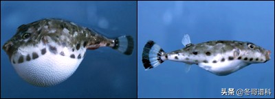 僵尸怎么袭击的,僵尸爆发怎么才能活下来