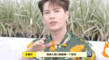 王嘉尔代言小众品牌,王嘉尔代言的品牌fendi小众