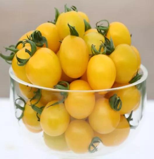 端午食博会暨特色农产品展13日开幕!绵乐眉成达资都来了